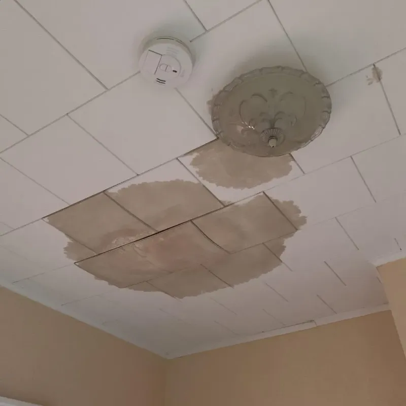 Ceiling Water Damage Repair in Youngsville, NC