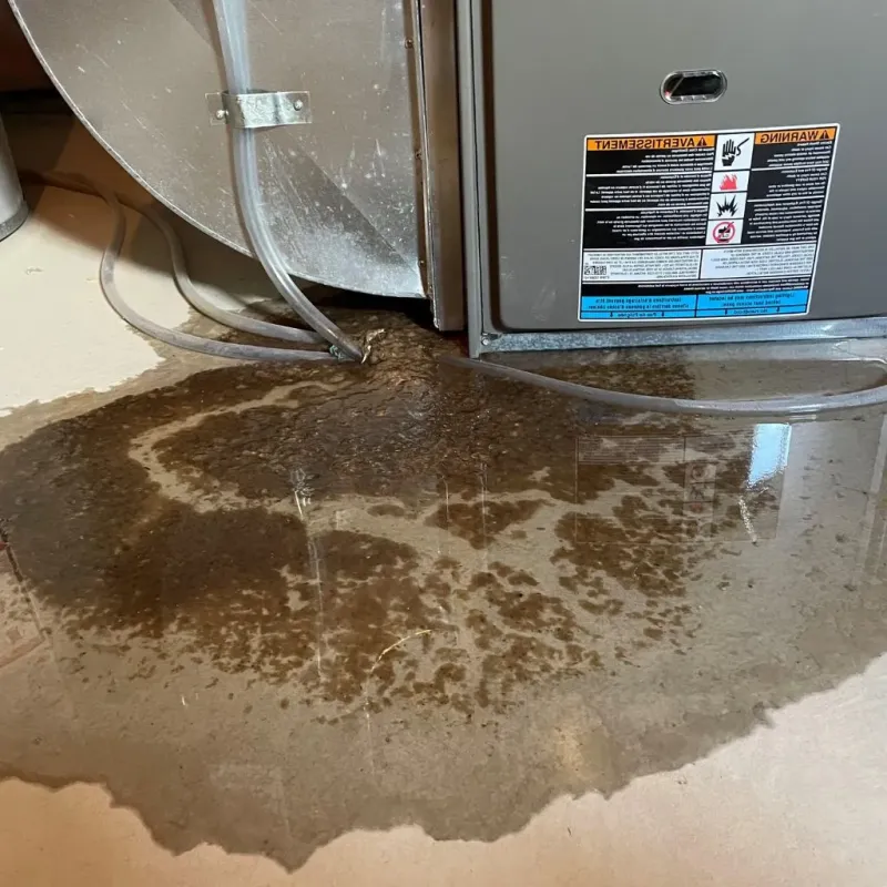 Pipe Burst and Leak Restoration in Youngsville, NC