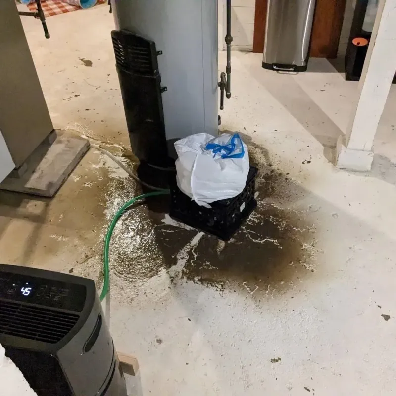 Sewage Backup Cleanup Service in Youngsville, NC